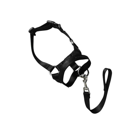 Dog Head Collar Halter - Black, Size S (Neck 28-35 cm)