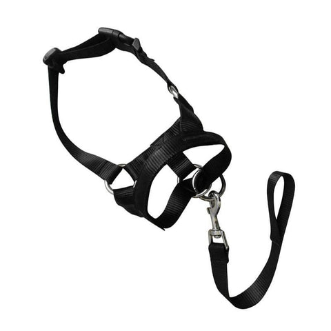 Dog Head Collar Halter - Black, Size XXL (Neck 48-65 cm)