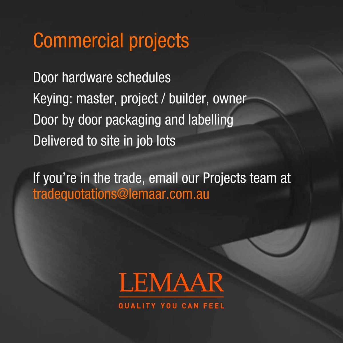 Lemaar D Pull Handle on Plate 200 x 50mm DDA Satin 304 Stainless Steel, Indoor Outdoor