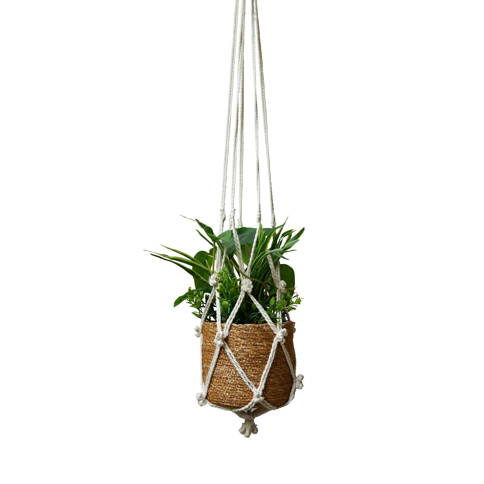Eden 110cm Natural Cotton Macrame Plant Hanger With Tassels