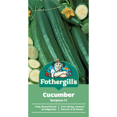 Mr Fothergill's Burpless Cucumber Vegetable Seeds, Easy-Digest Variety