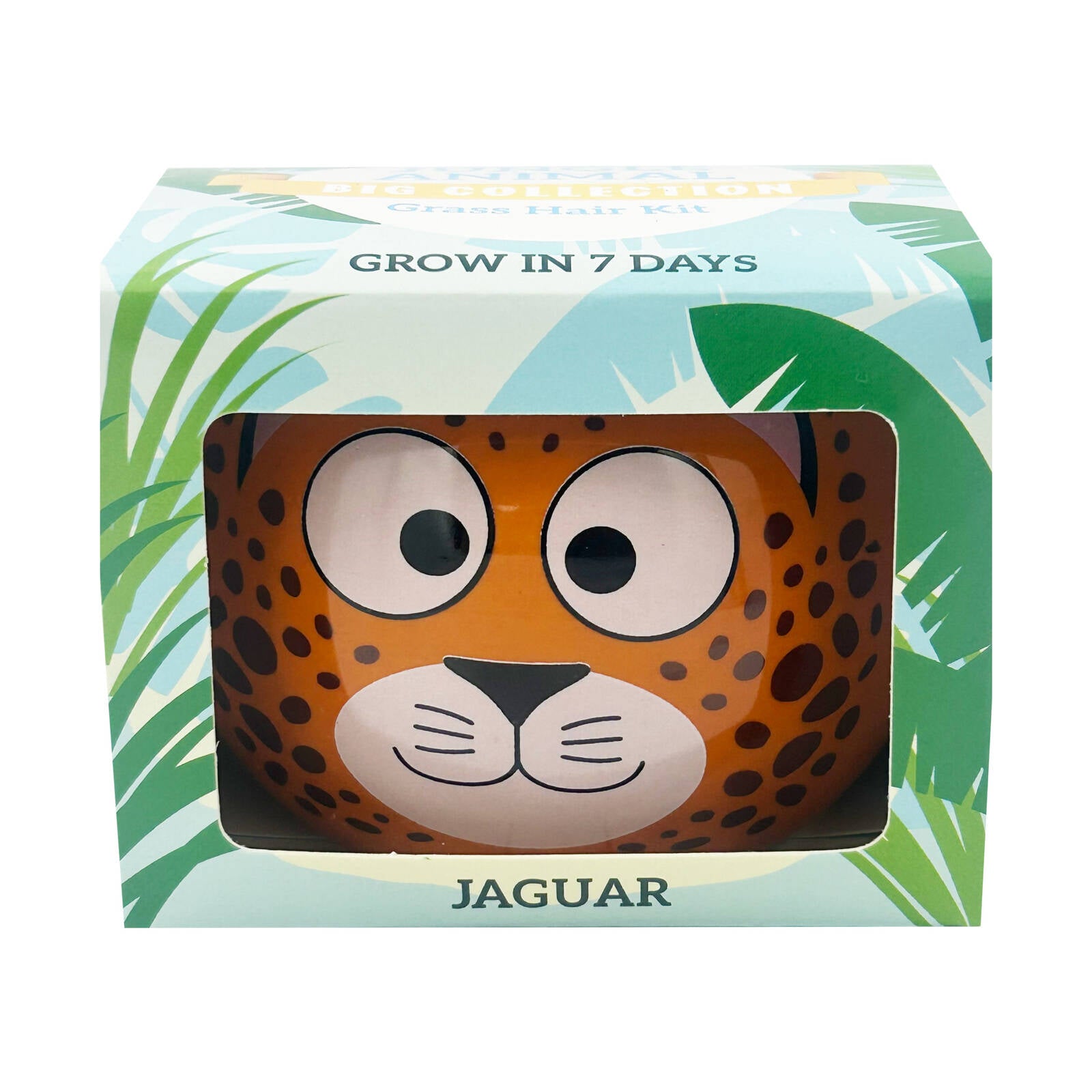 Mr Fothergill's Large Jaguar Grass Hair Kit - Grow Your Own Grass Head