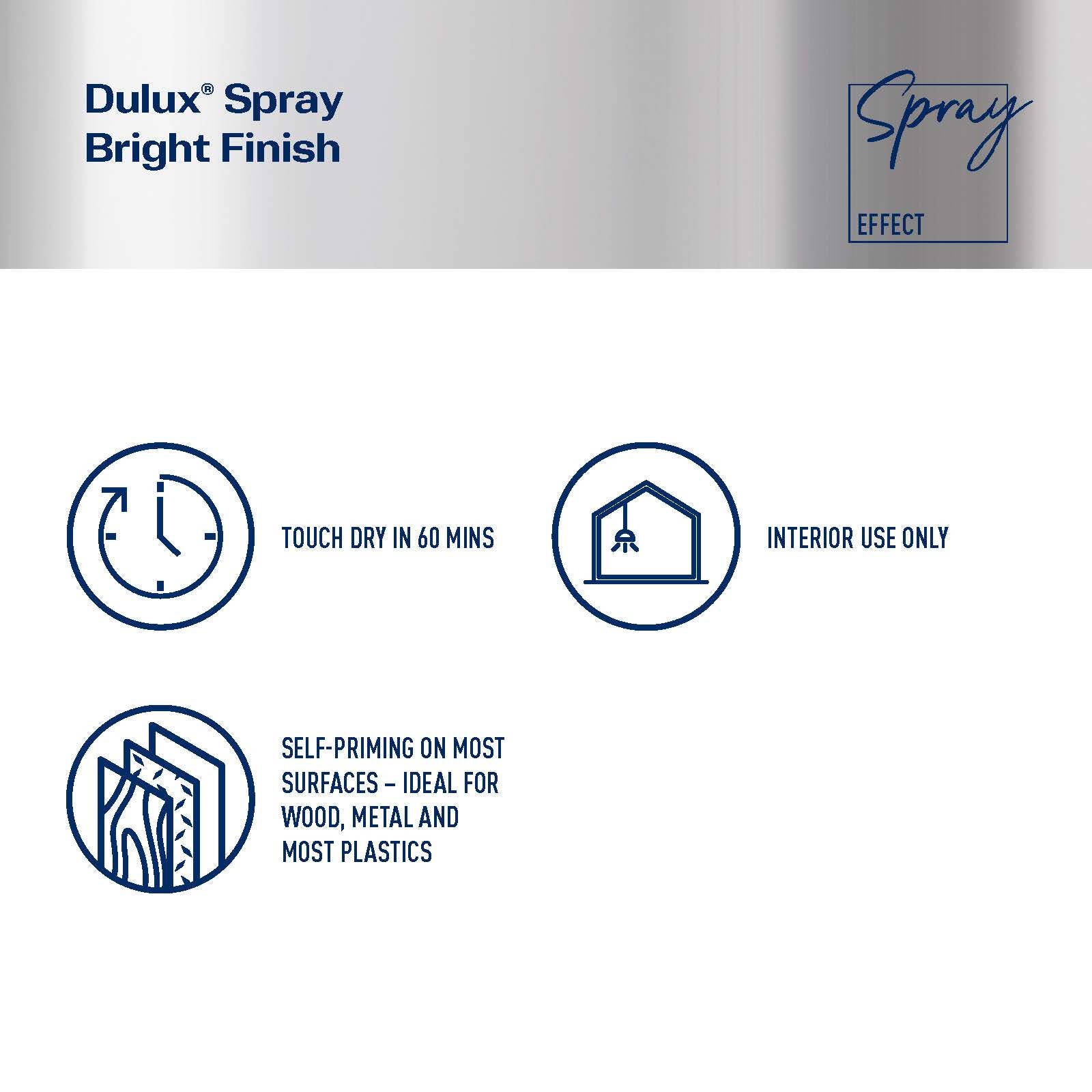 Dulux Effects 300g Copper Rose Bright Finish Spray Paint for Decor