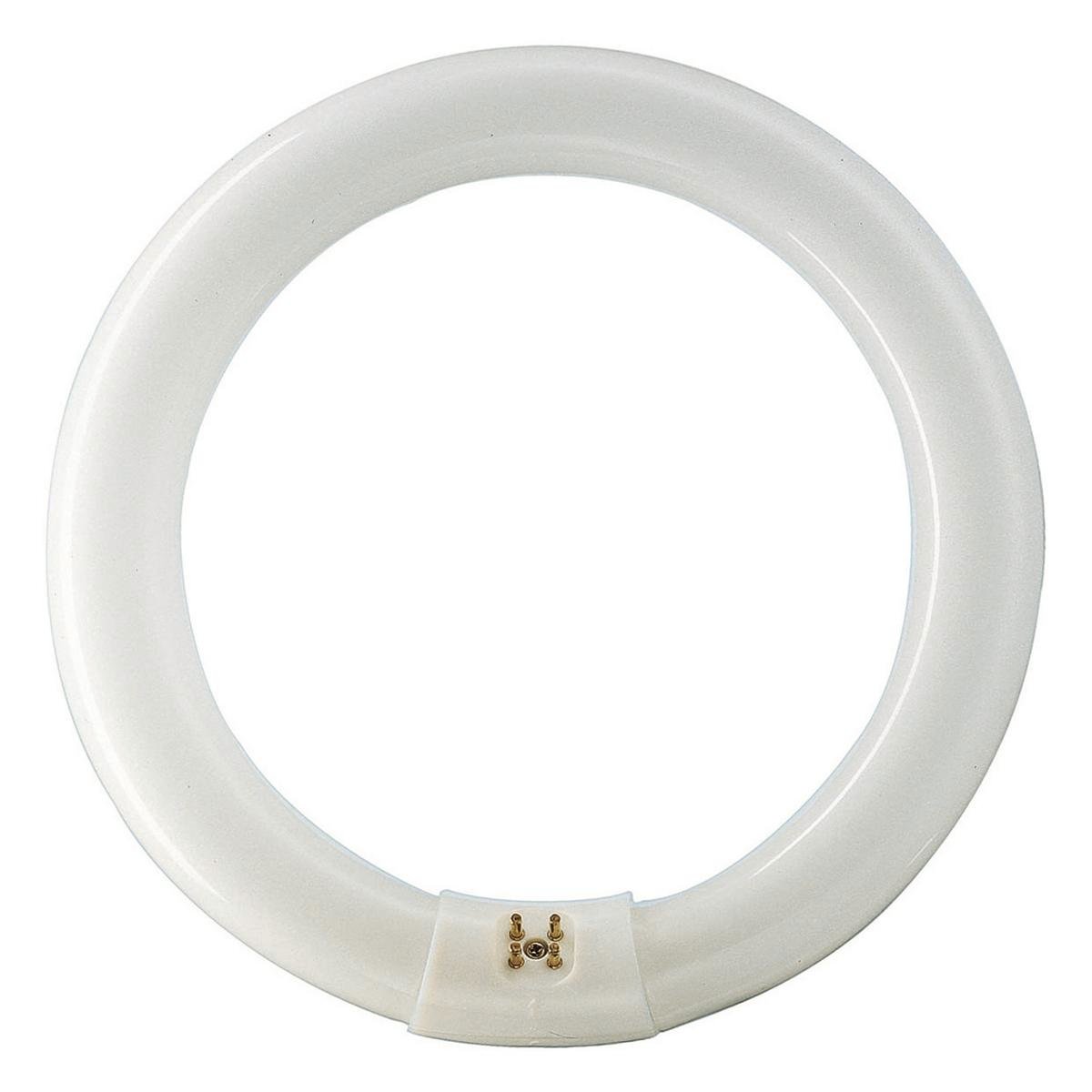 Philips G10 40W Circular Fluorescent Lamp 3070lm Cool White