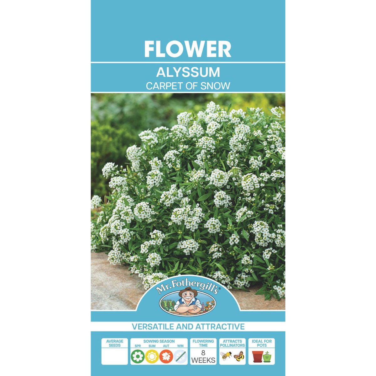 Mr Fothergill's Alyssum Carpet Of Snow Flower Seeds