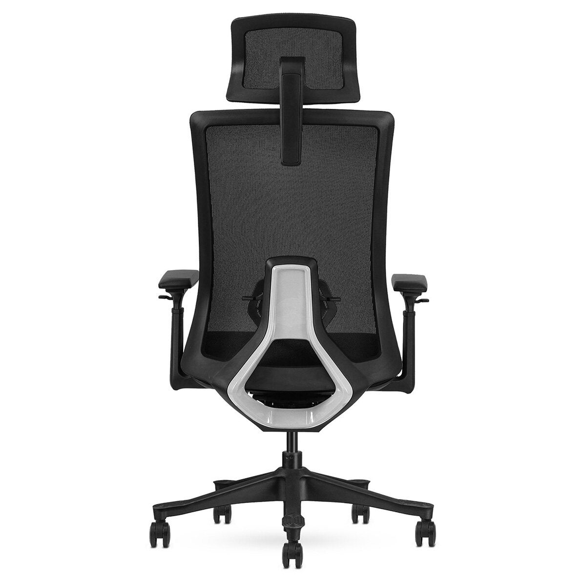 Lifespan Fitness DM9 Ergonomic Mesh High Back Office Chair - Adjustable Lumbar, 3D Armrests - LFOC-DM9BK-1