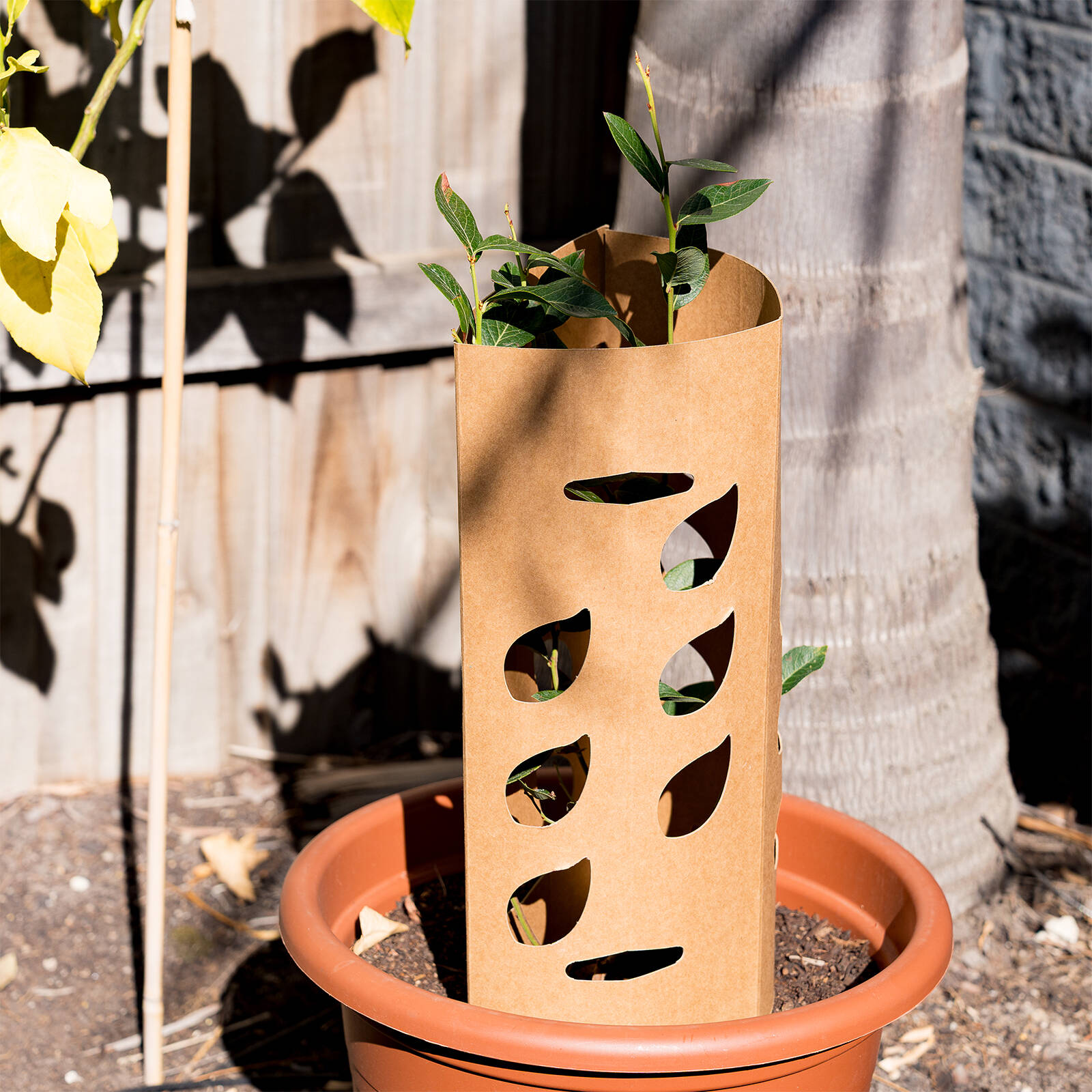 Garden Zen Biodegradable Cardboard Tree Guard, Brown - 1 Pack
