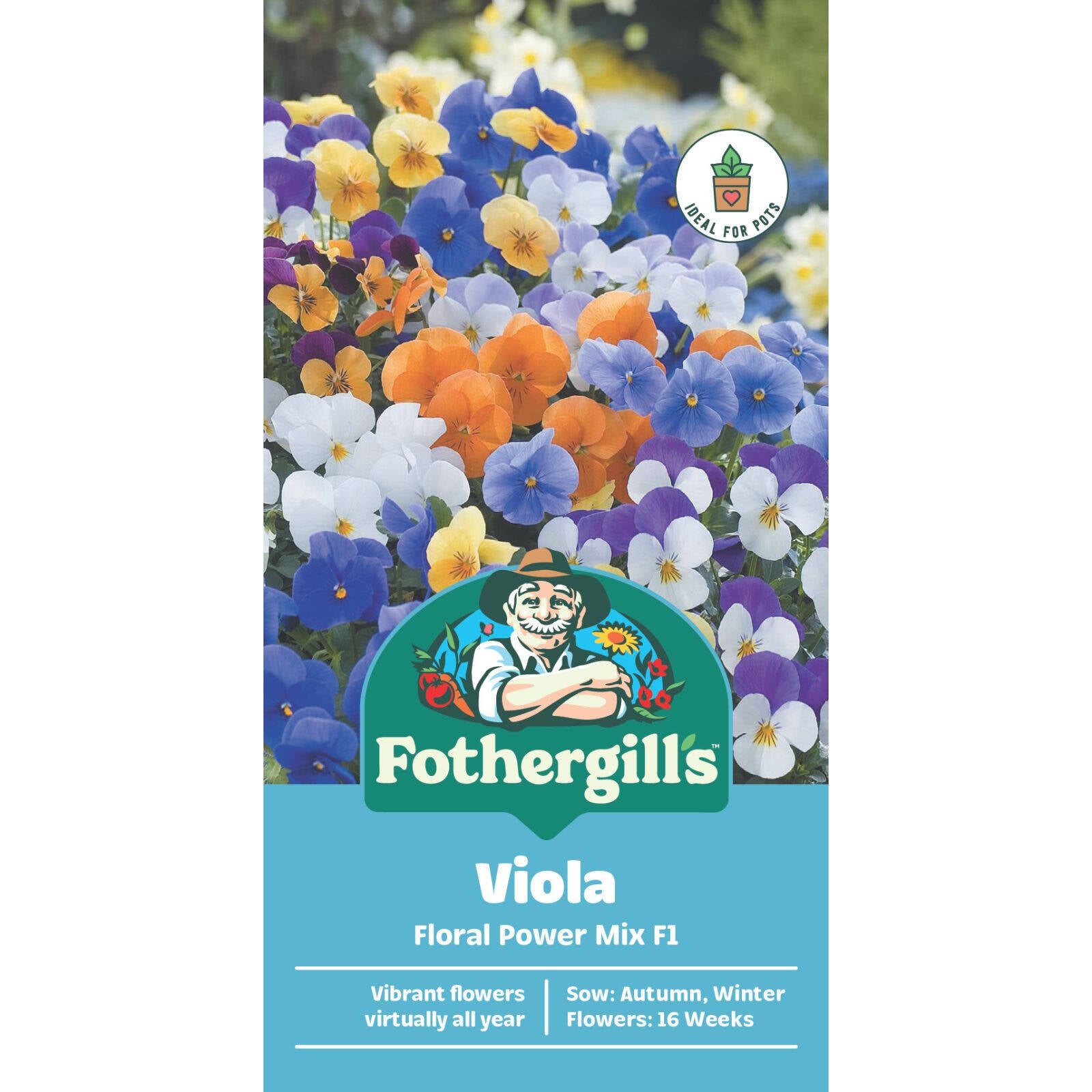 Mr Fothergill's Viola Floral Power Mix F1 Seeds Sun and Part Shade