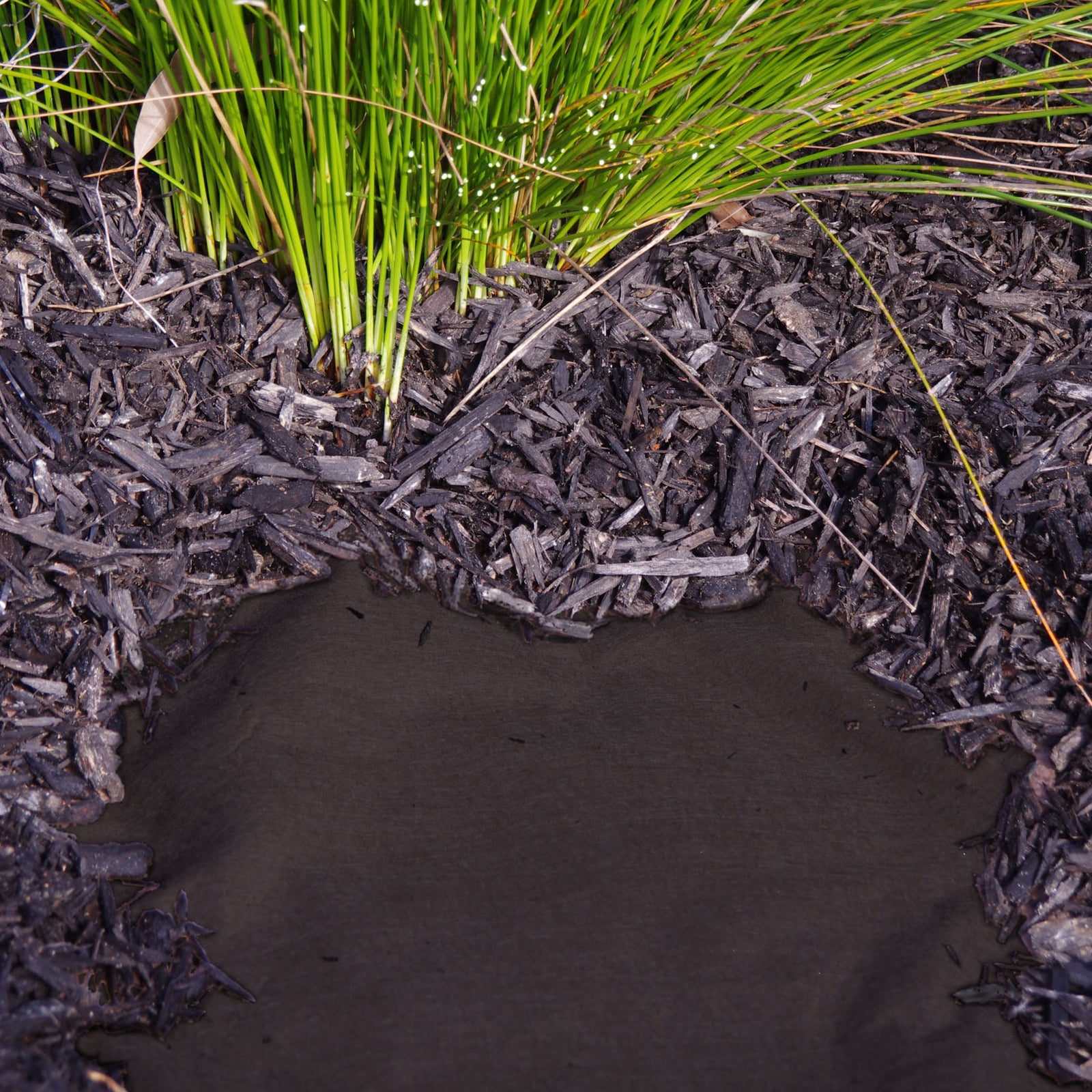 Pillar WaterLOCK 0.9 x 10m Black PET Premium Mulch Mat