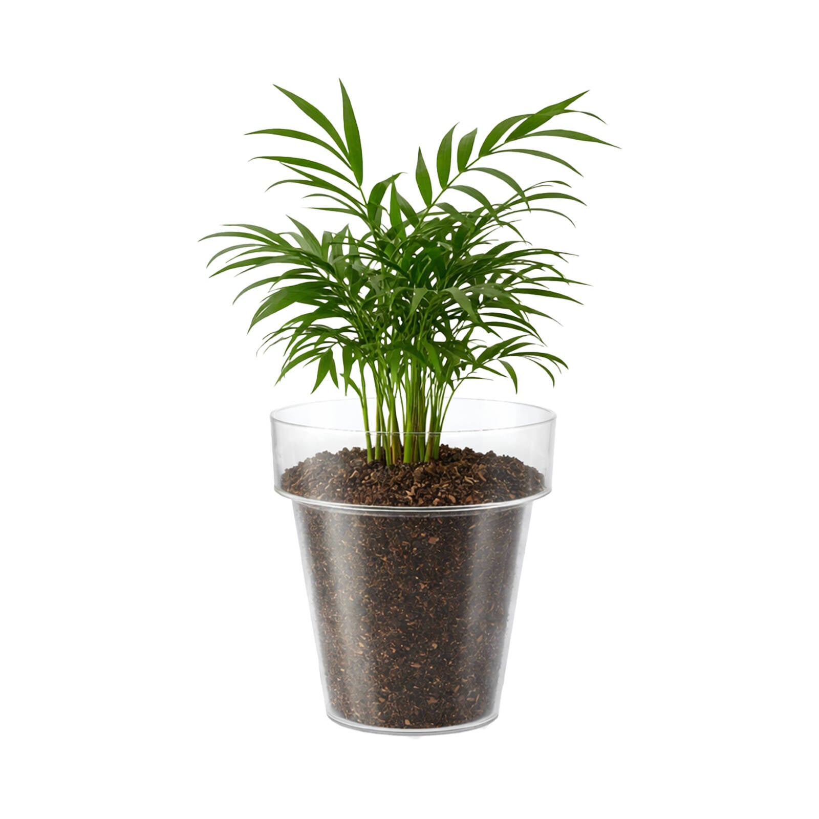 Eden 20cm Clear Round Planter 4L Polypropylene