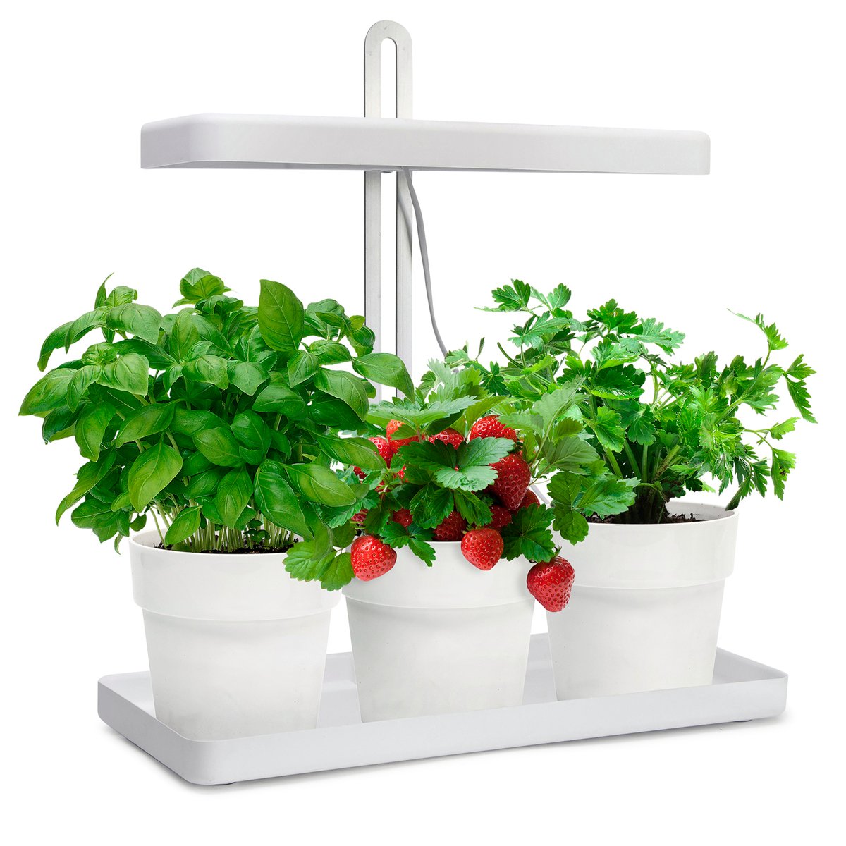 Home Grown Indoor Garden - Adjustable 44cm - Stainless Steel - Smart Timer - SuperSaverAU - view 2