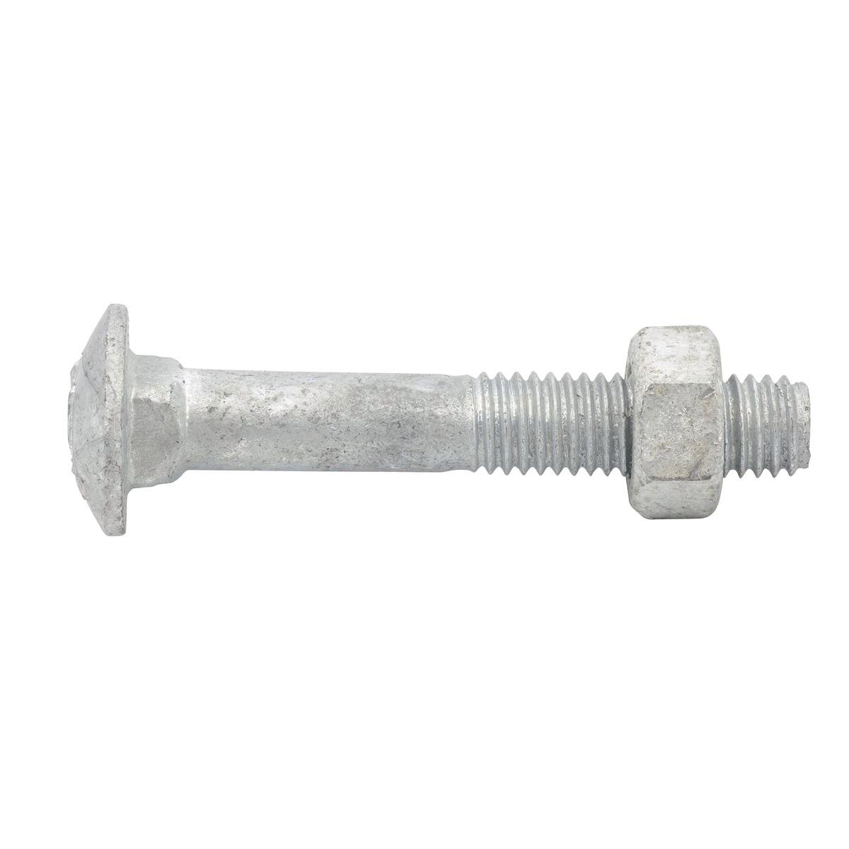 Zenith M8 x 50mm Hot Dipped Galvanised Cup Head Bolt and Nut - 4.6 Grade Steel, Each