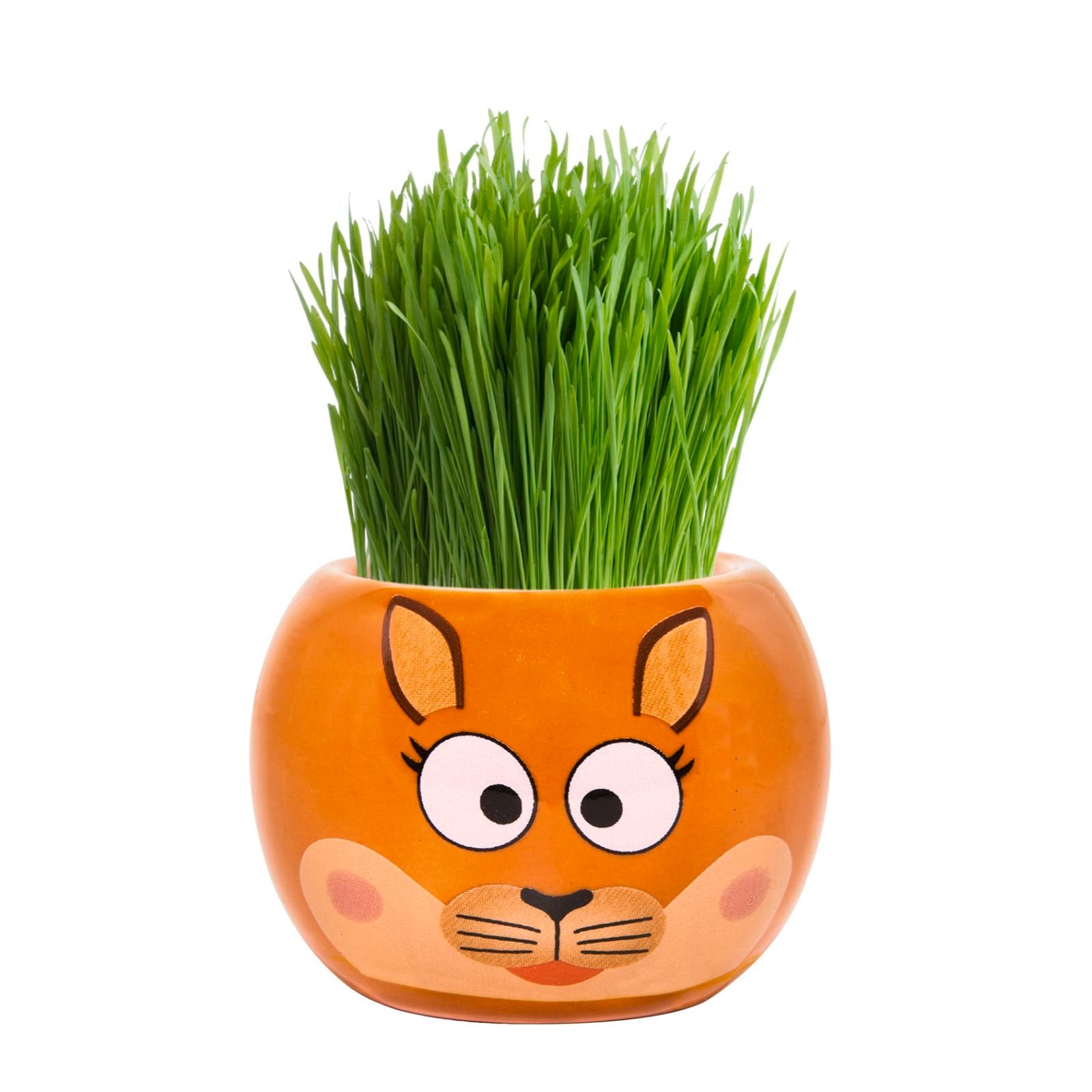 Mr Fothergill's Kangaroo Grass Hair Growing Kit, Fun Kids' Ryegrass Kit