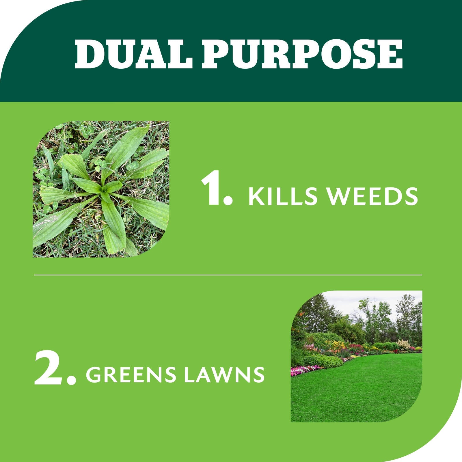 Yates 2.4L BuffaloPro Weed 'n' Feed Hose-On Weed Killer