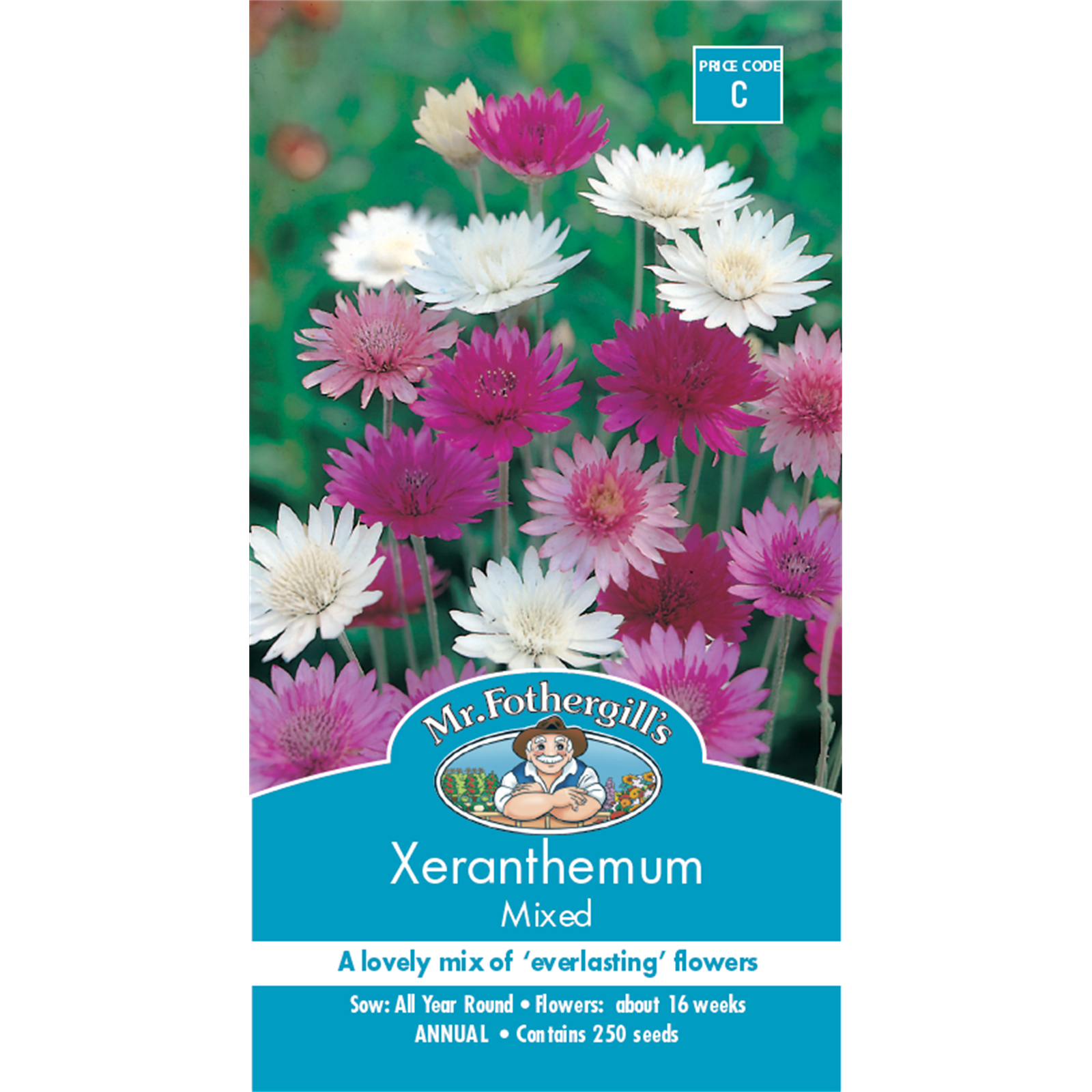 Mr Fothergill's Xeranthemum Strawflower Seeds - Everlasting Dried Flower Variety, 75cm