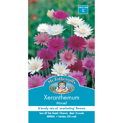 Mr Fothergill's Xeranthemum Strawflower Seeds - Everlasting Dried Flower Variety, 75cm