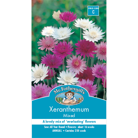 Mr Fothergill Xeranthemum Flower Seed - 75cm - Hardy - Dried Flowers - SuperSaverAU - view 1