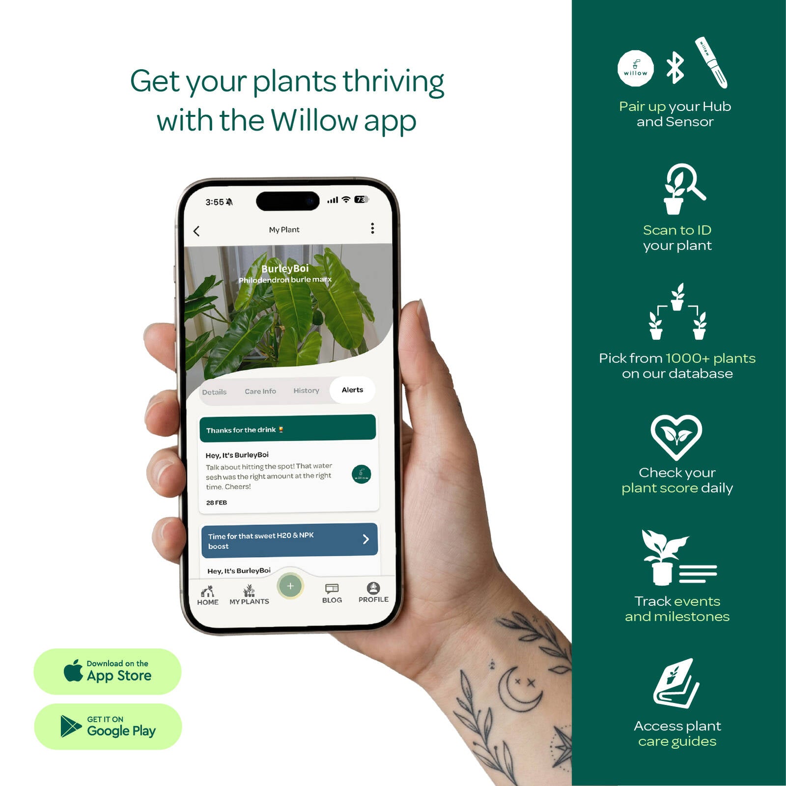 Willow Smart Indoor Plant Sensor Starter Pack Moss