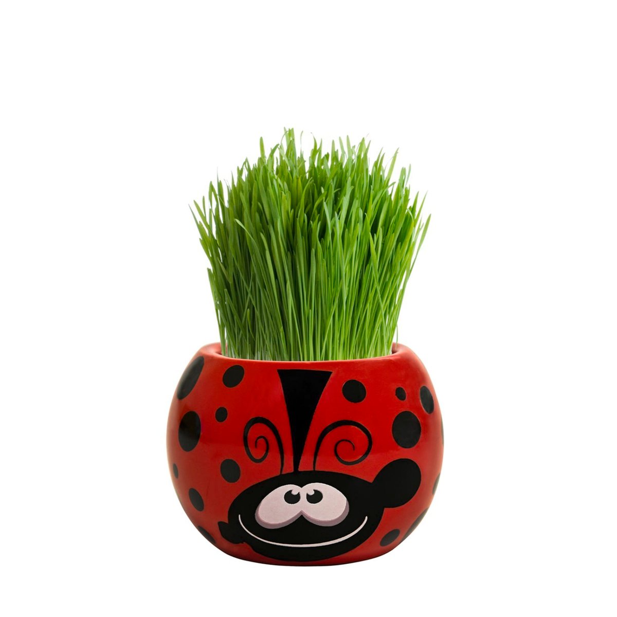 Mr Fothergill's Grass Hair Ladybug Grow Kit