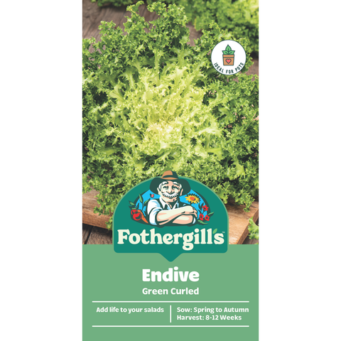 Mr Fothergill's Endive Vegetable Seeds