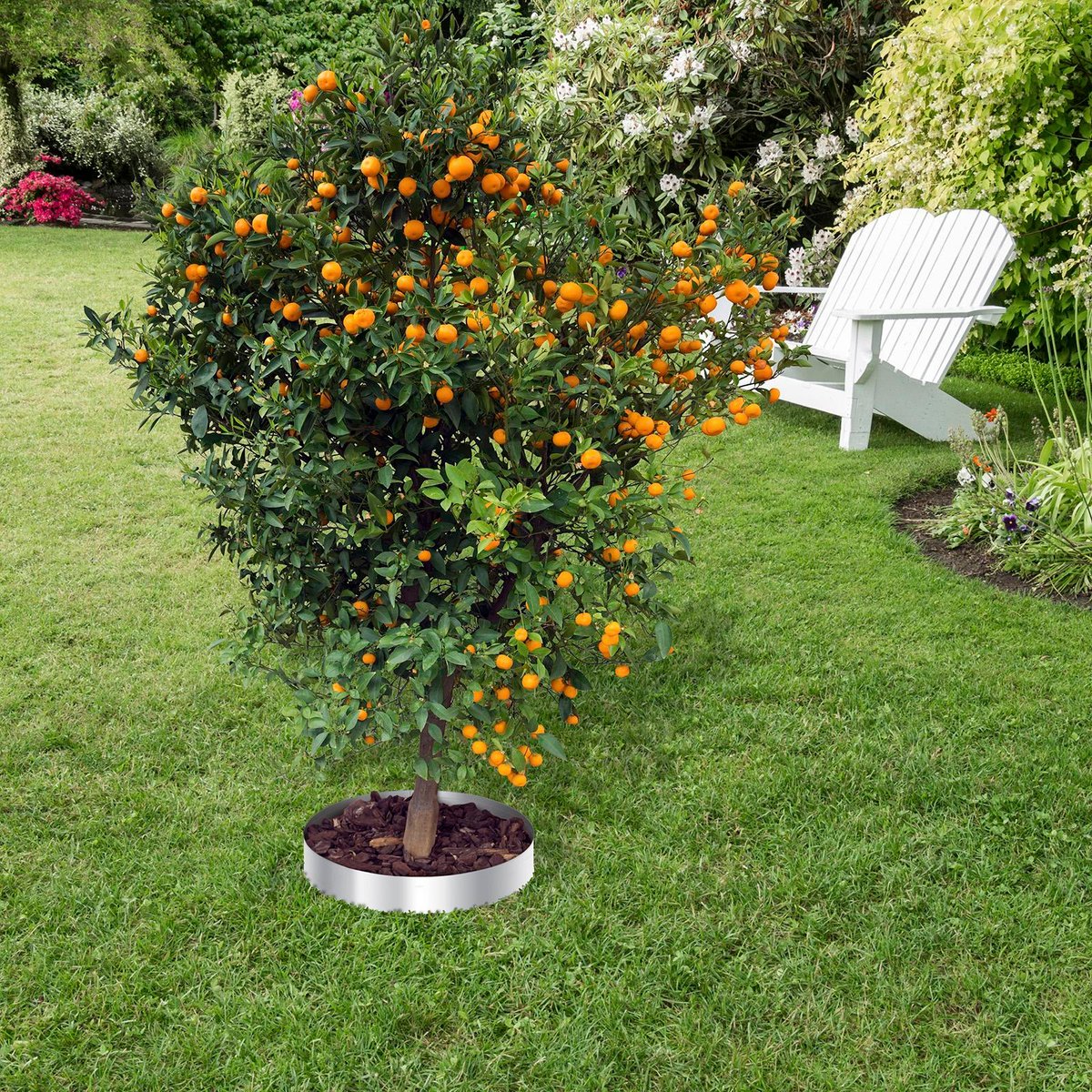 Jack 300mm Interlocking Steel Tree Ring - Garden Edging