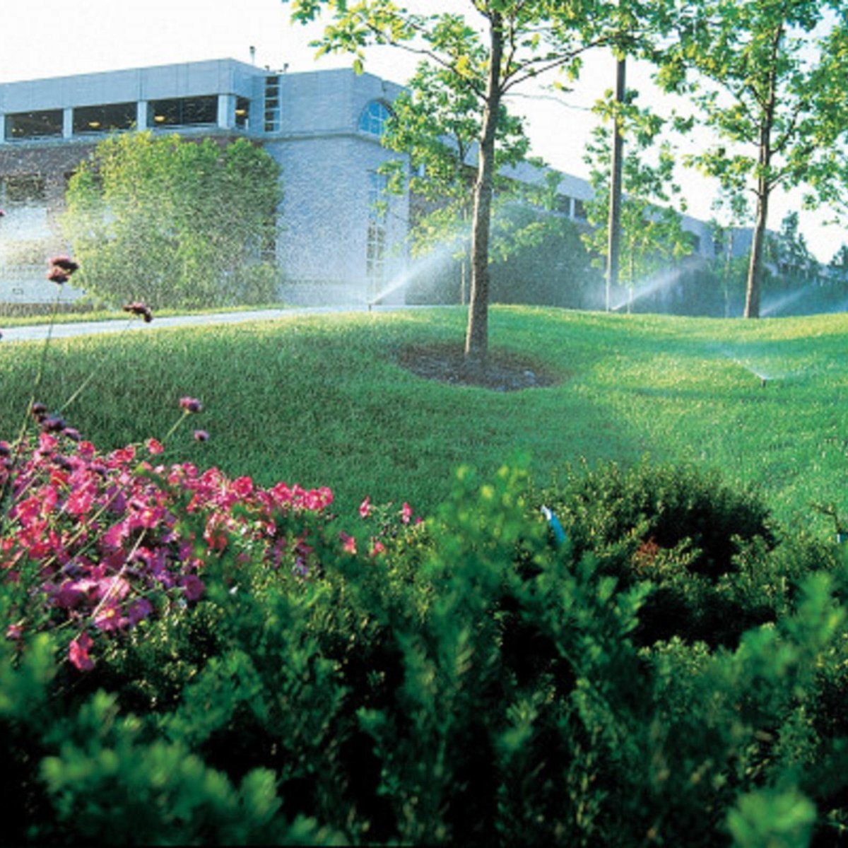 Rain Bird Shrub Nozzle - 12'-15' - Half Circle - Uniform Watering - SuperSaverAU - view 3