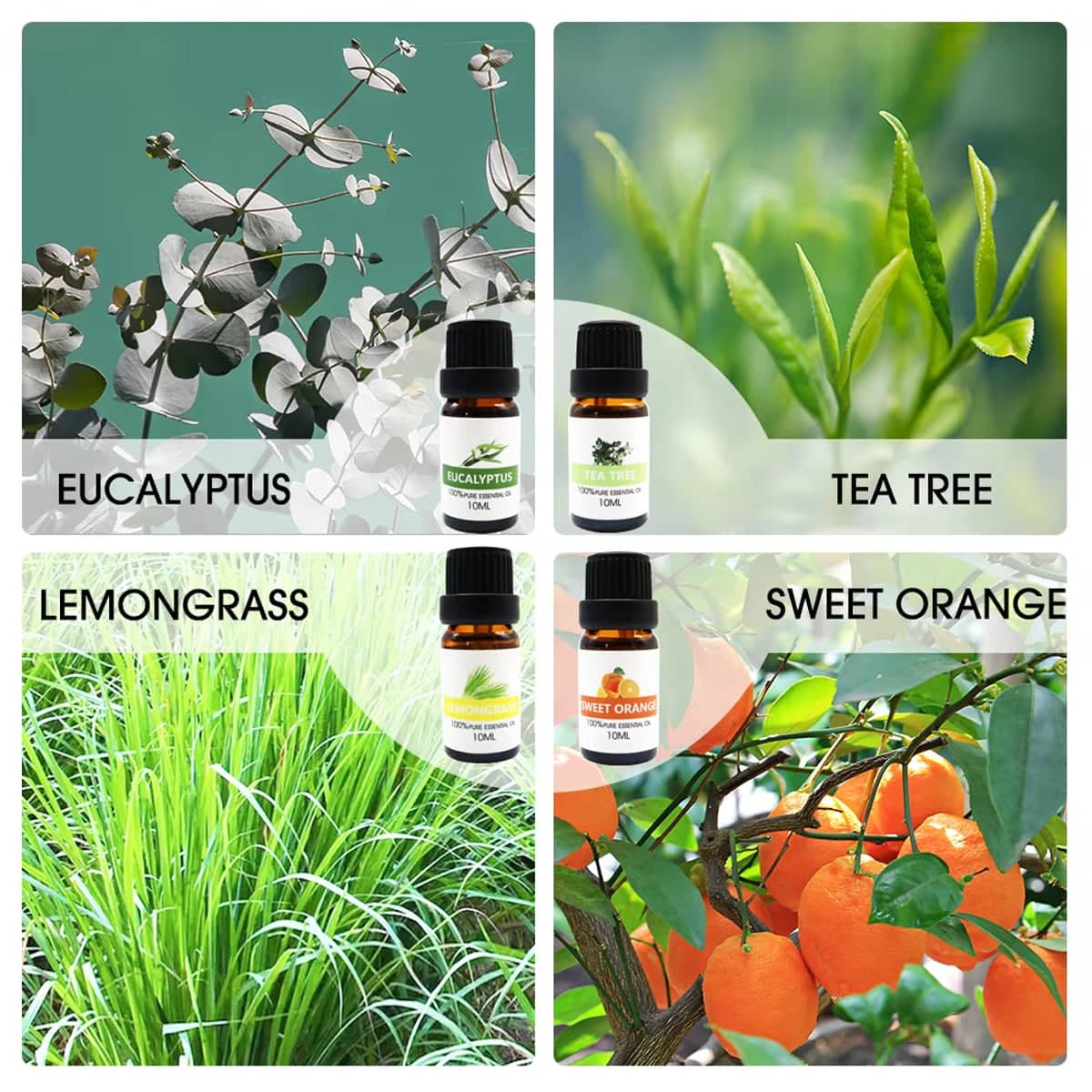 Essential Oil Set of 8 Plant Aromatherapy Oils, 10 ml Bottles for Diffusers and Massage - view 5