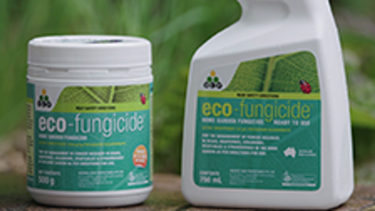 OCP Eco-Fungicide 750ml Ready to Use - Fruit & Vegetable Friendly Contact Spray