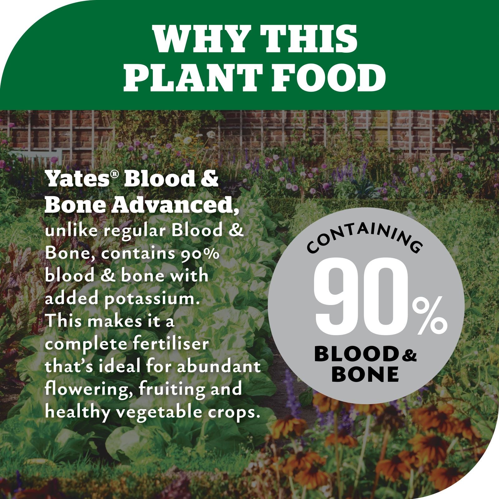 Yates Blood & Bone Plant Food 10kg - Organically Based with Potash Fertiliser