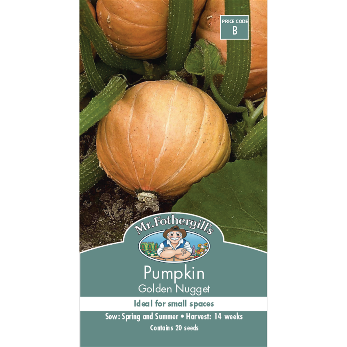 Mr Fothergill's Golden Nugget Pumpkin Seeds - Compact Bush Variety, Orange Flesh
