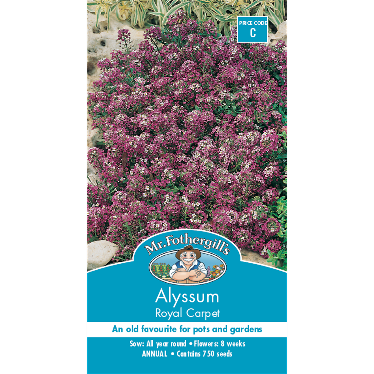 Mr Fothergill Alyssum Flower Seeds - 8 Weeks - Dark Violet - Edging Use - SuperSaverAU - view 1