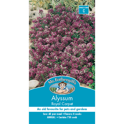 Mr Fothergill Alyssum Flower Seeds - 8 Weeks - Dark Violet - Edging Use - SuperSaverAU - view 1