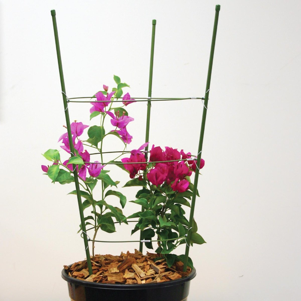Jack Flower Trellis - 60cm - Steel - Powdercoated Green - SuperSaverAU - view 2