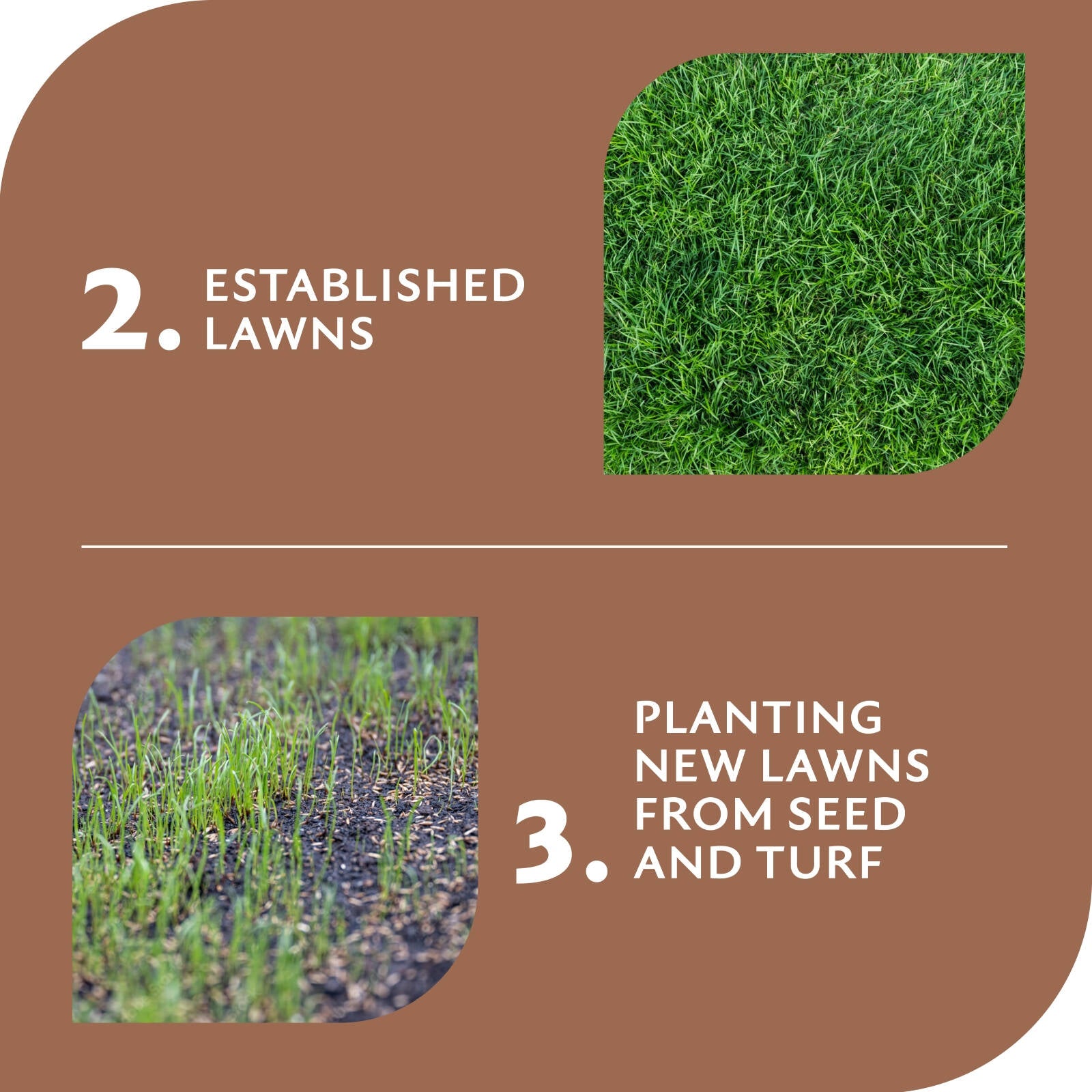 Yates Dynamic Lifter Concentrated Lawn Food 7kg - Organic Granulated Fertiliser, Covers 250m2