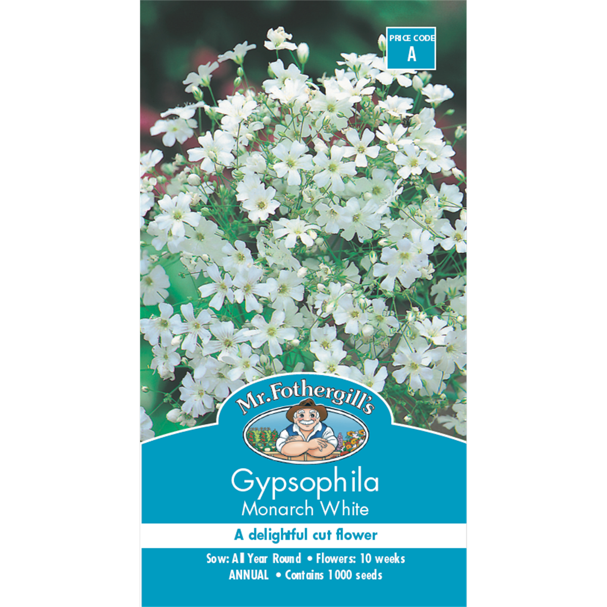 Mr Fothergill's Gypsophila Monarch White Flower Seeds - Baby's Breath 30cm
