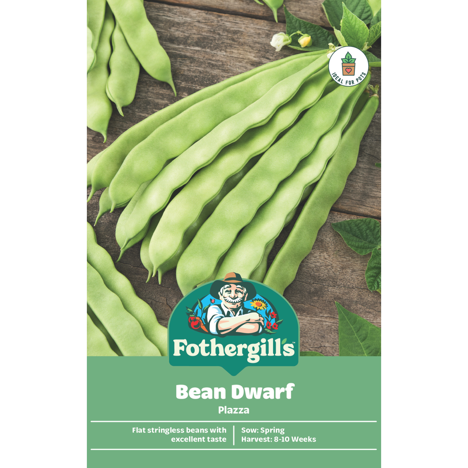 Mr Fothergill's Dwarf Bean Plazza Seeds, Compact High-Yielding Stringless
