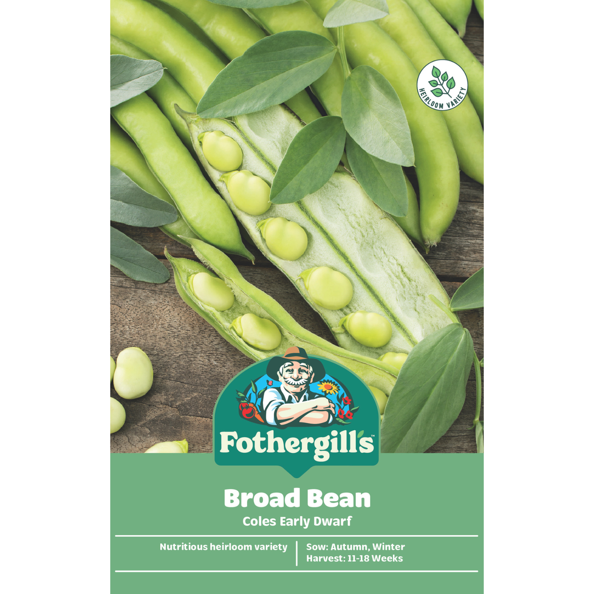 Mr Fothergill's Coles Early Dwarf Broad Bean Vegetable Seeds, Hardy High-Yield