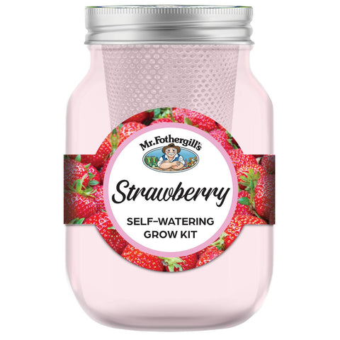 Mr Fothergill's Self Watering Mason Jar Strawberry Grow Kit - Pink Glass, Indoor Herb Kit