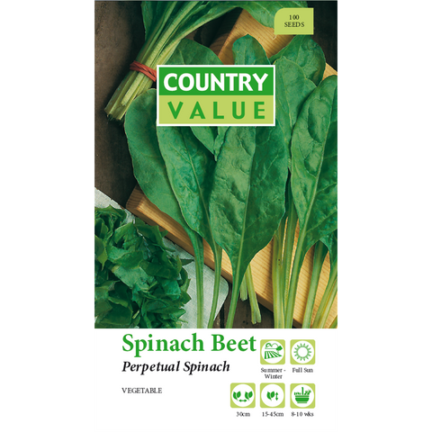 Country Value Perpetual Beet Spinach Vegetable Seeds for Full Sun