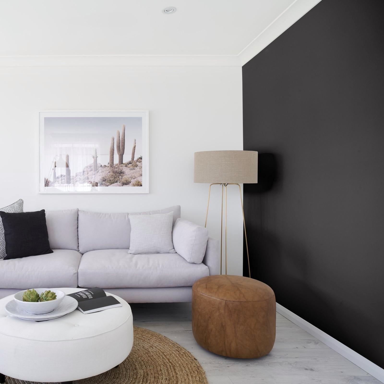Taubmans Tradex 4L Black Flat Interior Wall Paint - Water Based, Splatter Resistant, Tintable