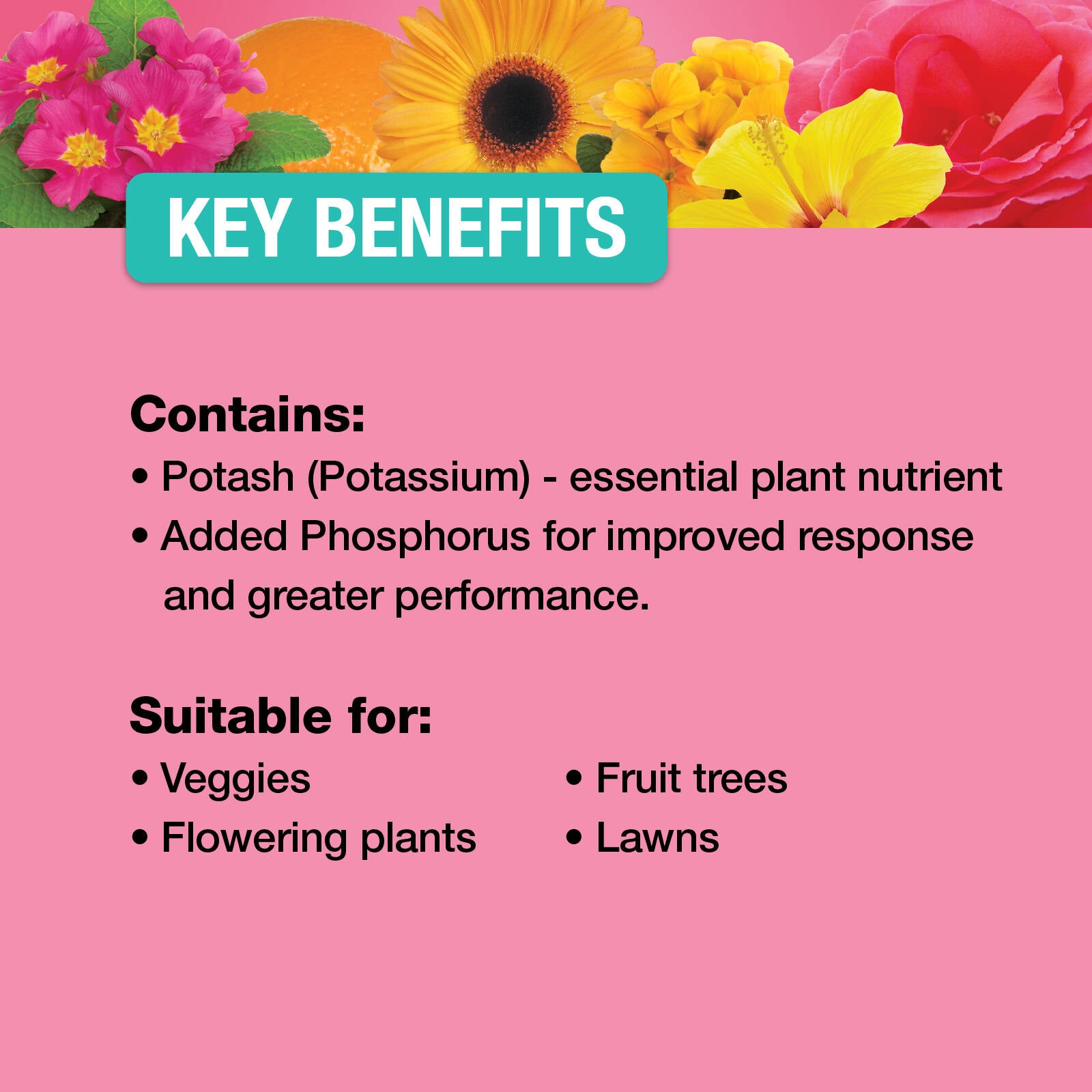 Searles 1L Liquid Potash Fertiliser Supplement, High Potassium, Water Soluble