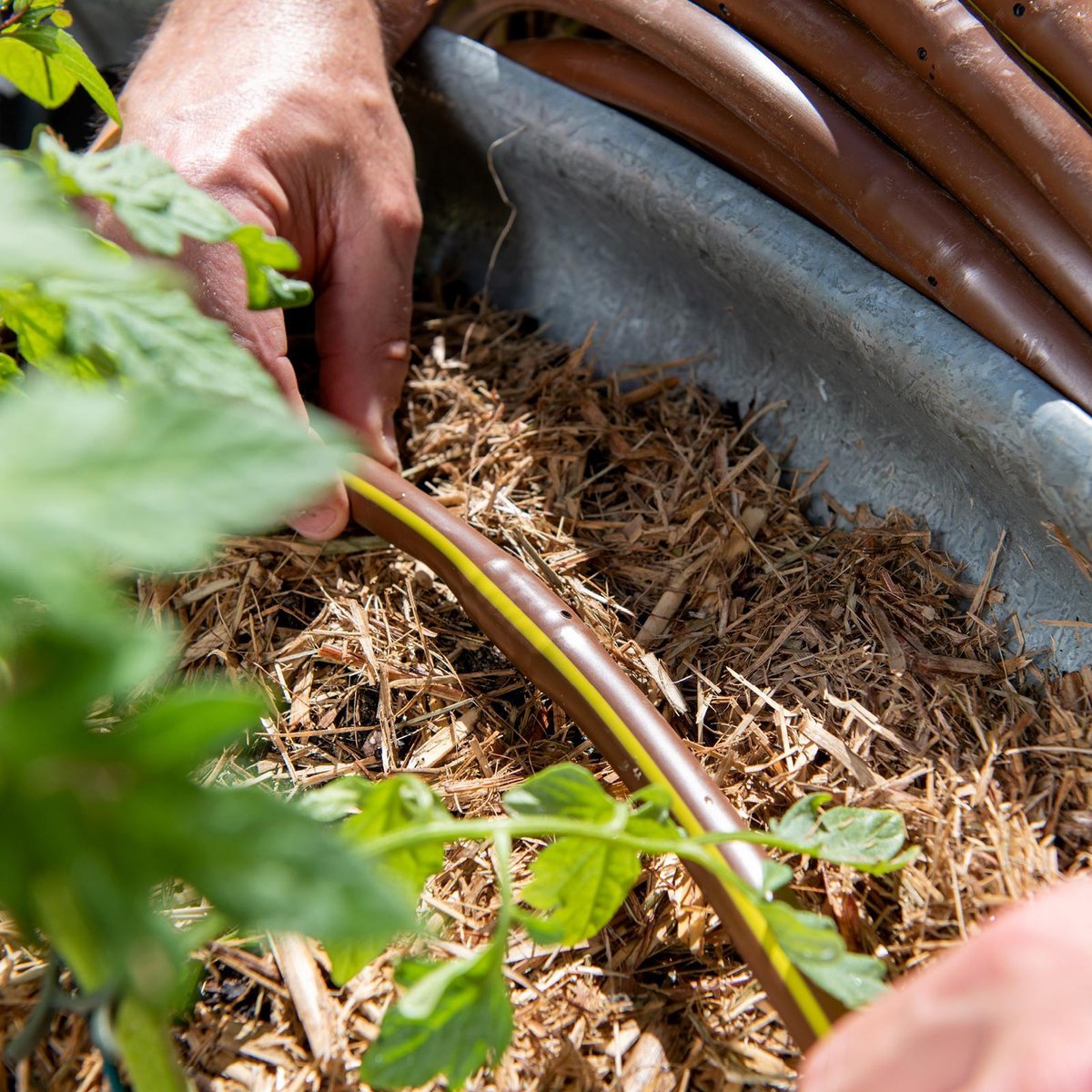 Pope Drip Eze Drip Irrigation Tube 13mm x 50m - UV Resistant Polyethylene