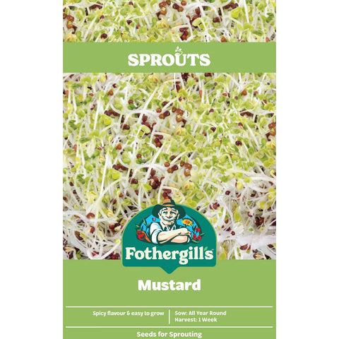 Mr Fothergill's Sprouts Alive Mustard Seeds