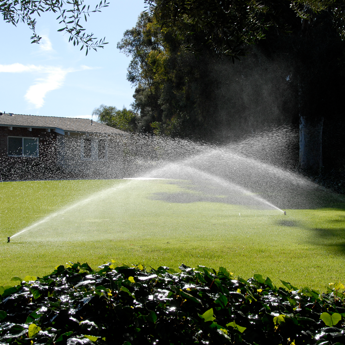 Toro T5 Rotor - 20mm - 5” Pop-Up Height - Efficient Irrigation Solution - SuperSaverAU - view 5