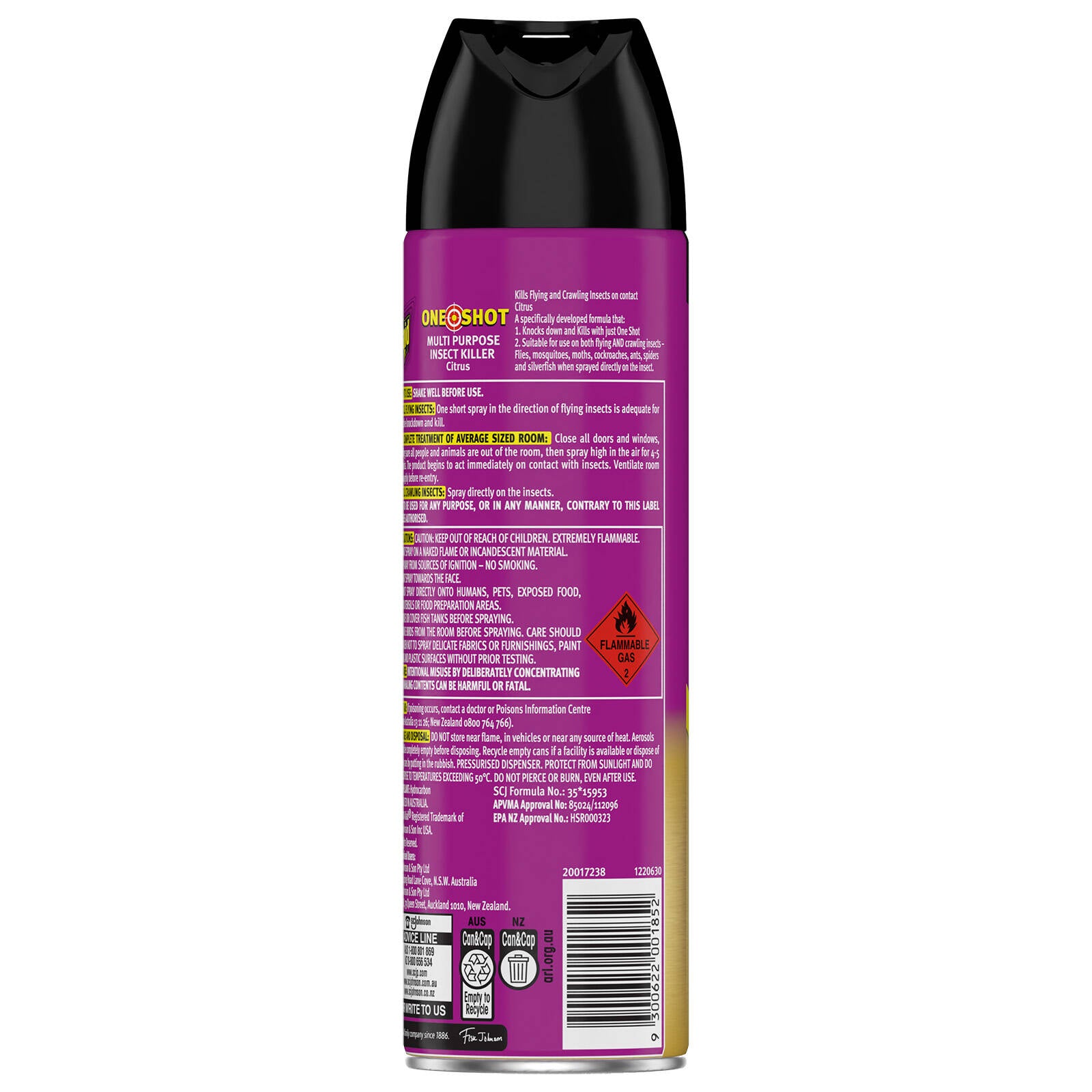 Raid 375g Citrus One Shot Pest Multi Purpose Insect Killer Aerosol Indoor Outdoor