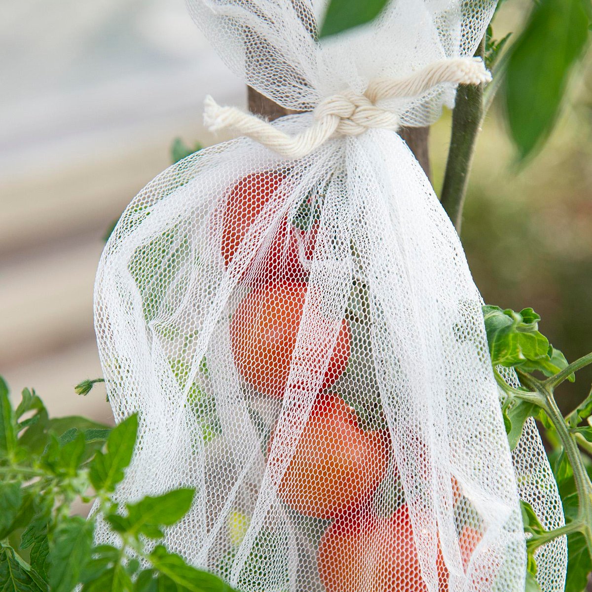 Backyard Farmer 25 x 43cm Netting Sleeve - 3 Pack