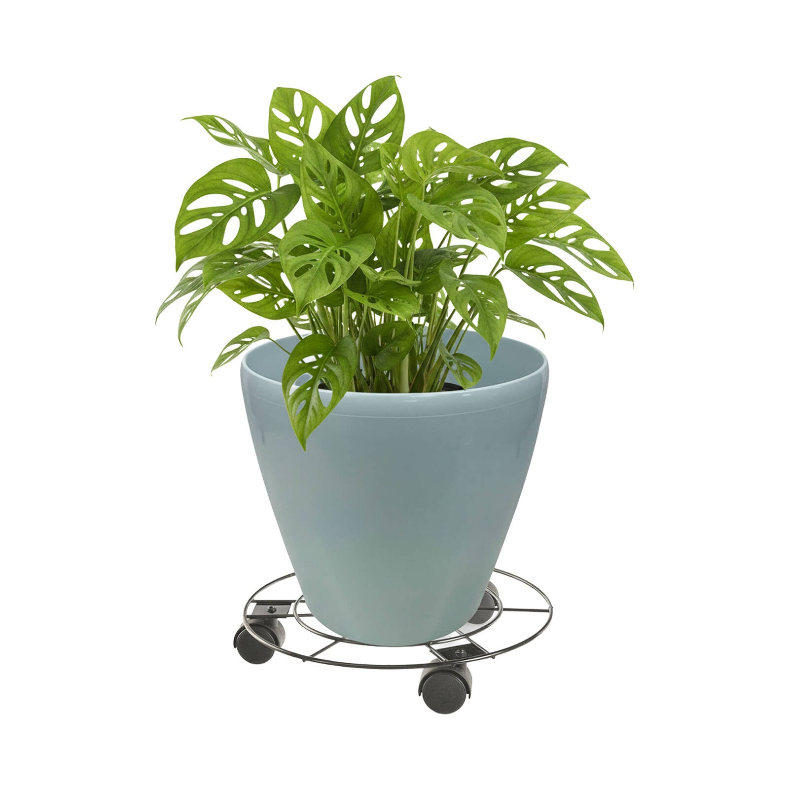 Eden 25cm Round Pot Plant Trolley, Wire, 25kg Capacity, Indoor & Outdoor