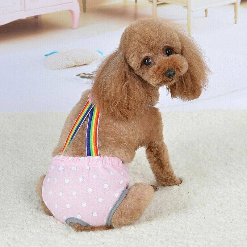Female Dog Sanitary Pants, Washable - Pink, XL (Waist 43-46 cm, Back Length 34-38 cm) - view 3