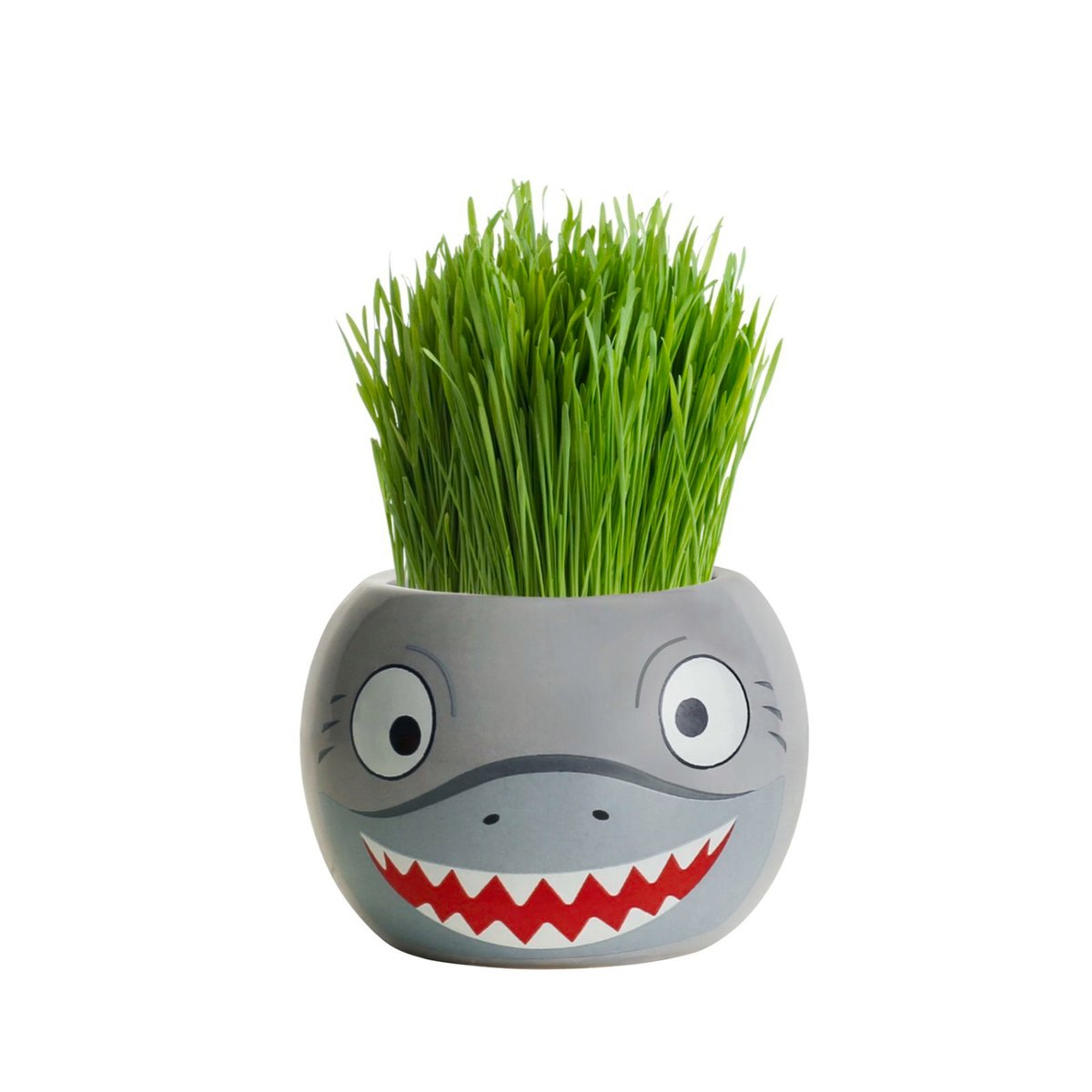 Mr Fothergill's Grass Hair Shark Growing Kit, Fun Kids' Ryegrass Kit