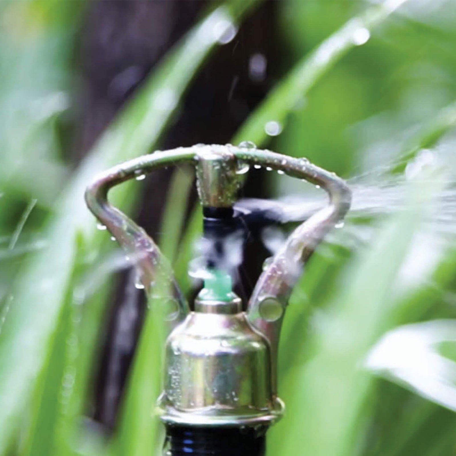 Holman Brass Butterfly Spin Sprinkler Hose End